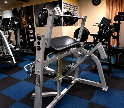 Hammer strength plate loaded Tricep Extension - AED 4000