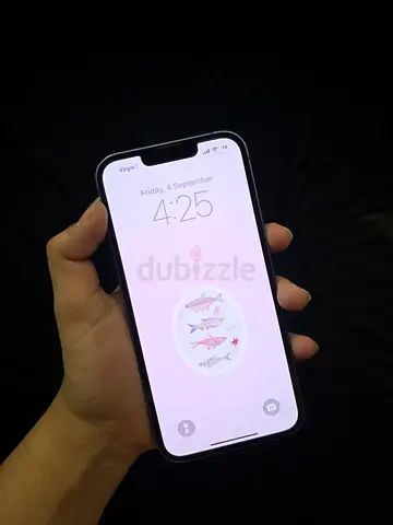 iPhone 13 256gb Blue
