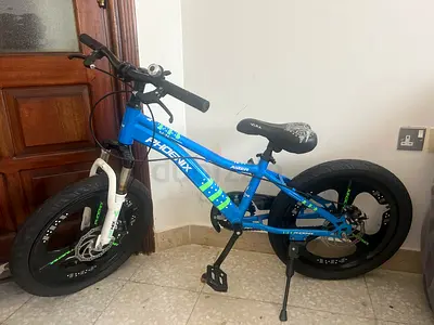 Kids/Teen Blue Phoenix Fat-Tire Bike - Good Condition