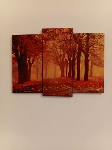 Canvas wall art painting with wooden frame