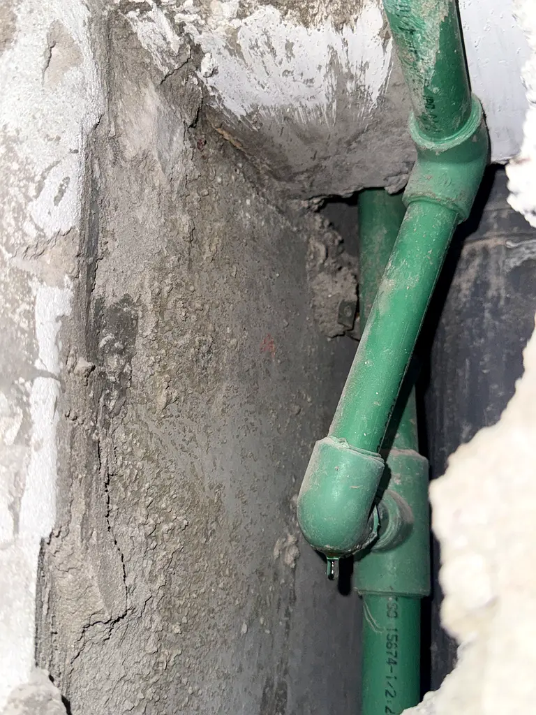 DPV_View_Image_1