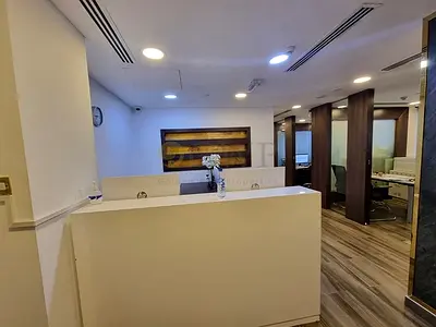 Furnished |Burj Khalifa and Canal view |2 Parking