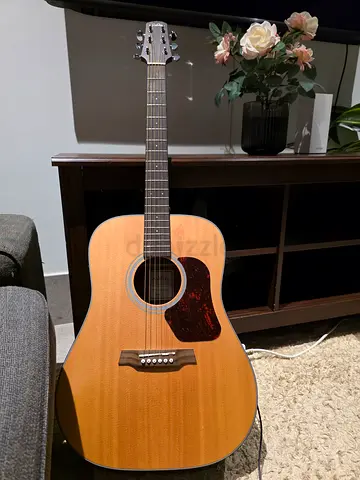 Walden D550e Acoustic Electric Guitar