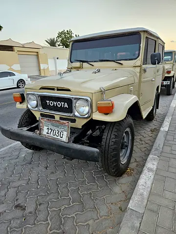1979 Toyota FJ CRUISER 照片 1