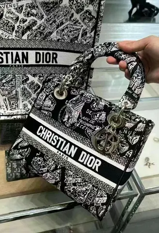 Christian Dior Medium D lite Embroidery Lady Dior Bag