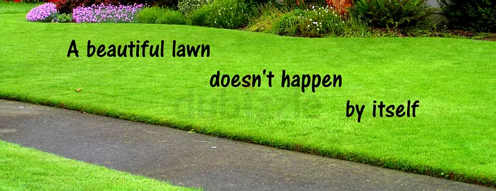 Professional Landscaping Crew