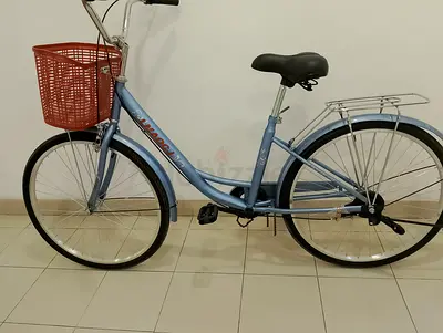 Cycle size 26