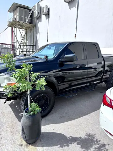 صورة 7 لـ 2012 Dodge RAM 1500