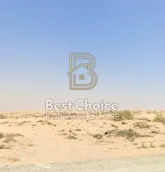 Freehold Residential Land for Sale in Al Maliha
