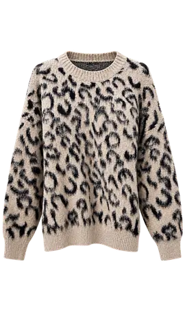 Shein Leopard Print Sweater