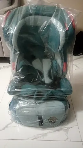 Baby Car Seat