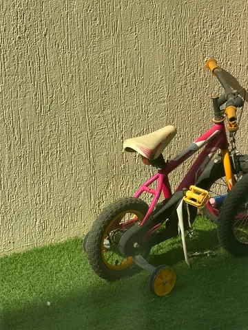 Kids Bicycle with Training Wheels