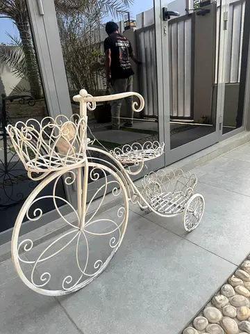 white metal bicycle-shaped for plant
