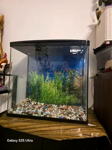 Aquarium with cabinet