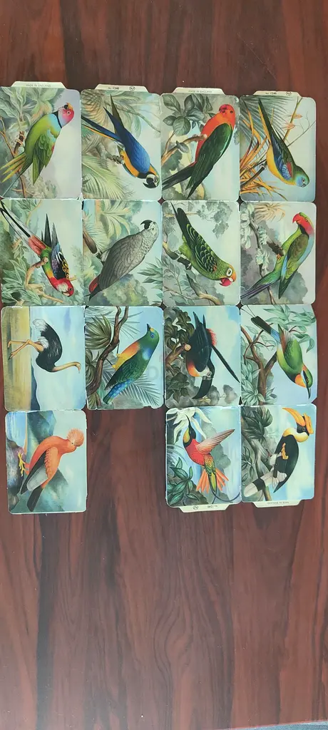 gallery-image