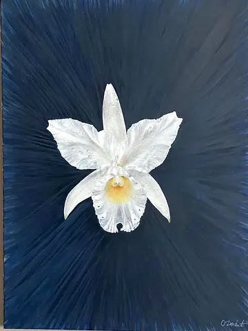Original Oil Painting of White Orchid on Textured Dark Background, , Size 80x60