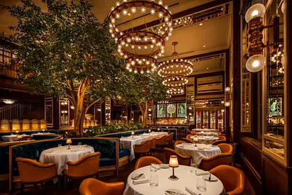 Luxury Fine Dining Restaurant Renovation & Themed Decor / Lighting