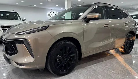 Forthing T5 Evo - Agency Warranty Included
