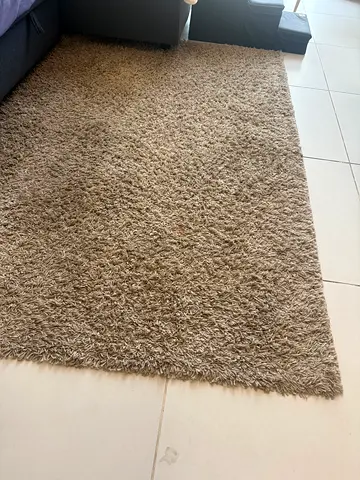 CARPET