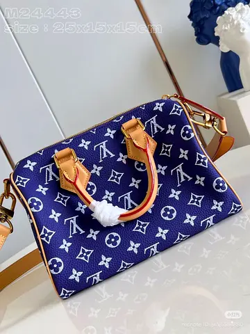 Louis vuitton speedy P9 Bandoullere 25