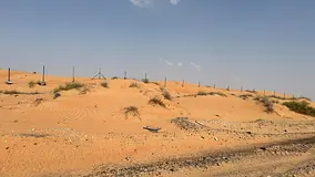 644200 Sqft Agricultural Land(Suitable for farming) for long lease In Al Zubair Sharjah