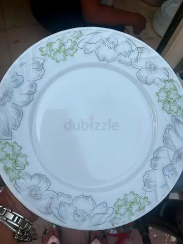 Dinner plate