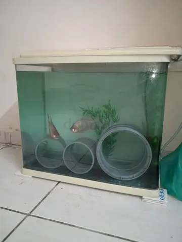 aquarium