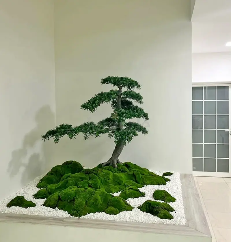 DPV_View_Image_1
