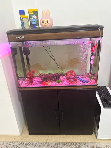 120L Fish Aquarium with Cabinet, Filter, Lights and Accessories