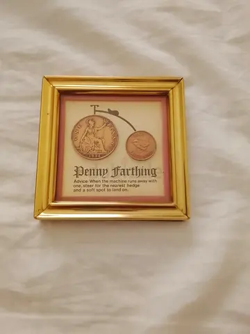 Framed replica coin display