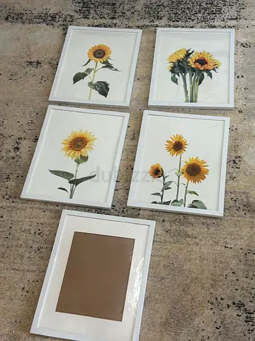 Set of 5 White Framed Sunflower Wall Art Prints