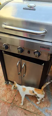4 burner BBQ