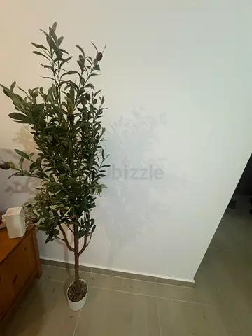 Tall Artificial Olive Tree with White Pot - Decorative Plant