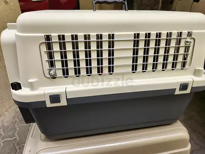 Cats and dogs carriers for air travel with metal mesh