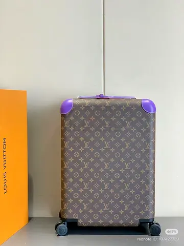 Louis vuitton Horizon 55 suitcase