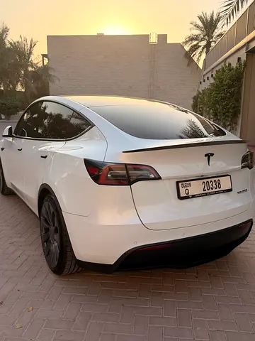2022 Tesla MODEL Y 照片 3