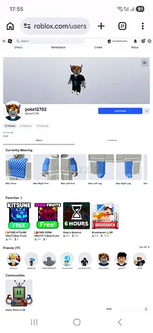 Roblox bloxfruit account level 400