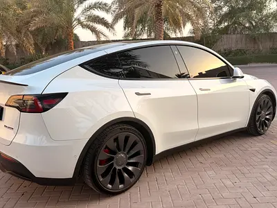 2022 Tesla MODEL Y 照片 5