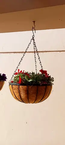 Garden Basket For Hanging Flowers