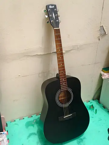 Cort acoustic guitar.