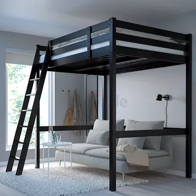 Wooden Loft Bed with Ladder — High Bed Frame in Black