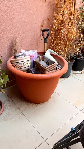 Large terracotta planter pot with assorted small and medium pots for better gardening