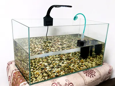 Aquarium