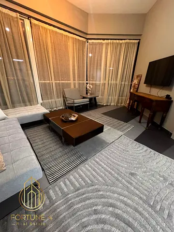 Freehold| Fully Furnished & Upgraded | Prime DSO Location
