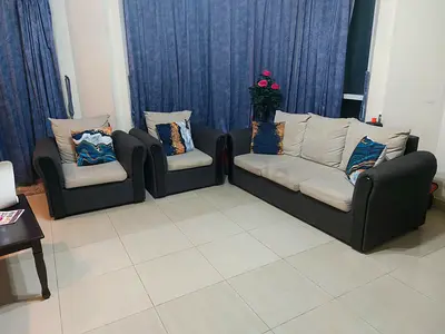 Stylish and compatible sofa- perfect for all living room