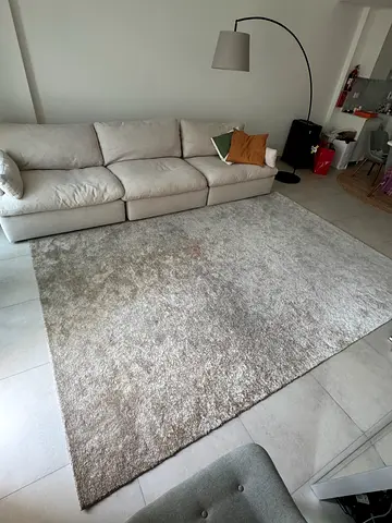 Bloomr Soft Shaggy Grey-Beige Area Rug — Good Condition