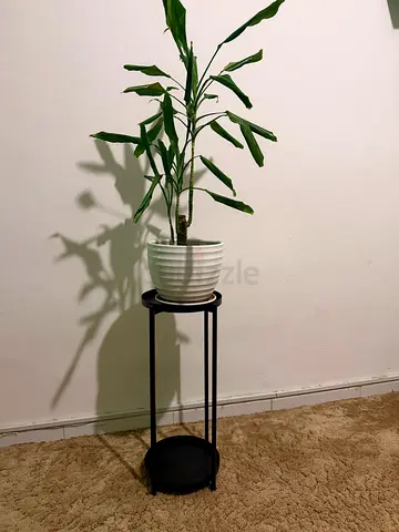 Tall black metal plant stand with round shelves - modern minimal