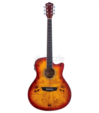 Washburn Deep Forest Guitar Electro-Acoustic Guitar - Brand New