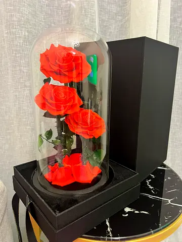 Forever Rose Decorative preserved roses in glass dome with gift box