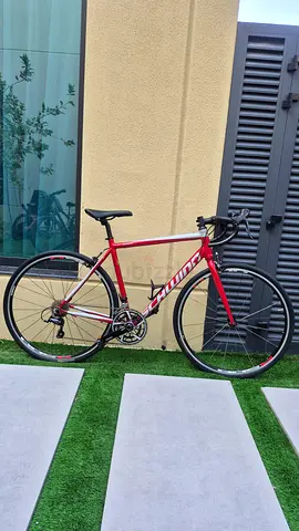 Schwinn fastback roadbike